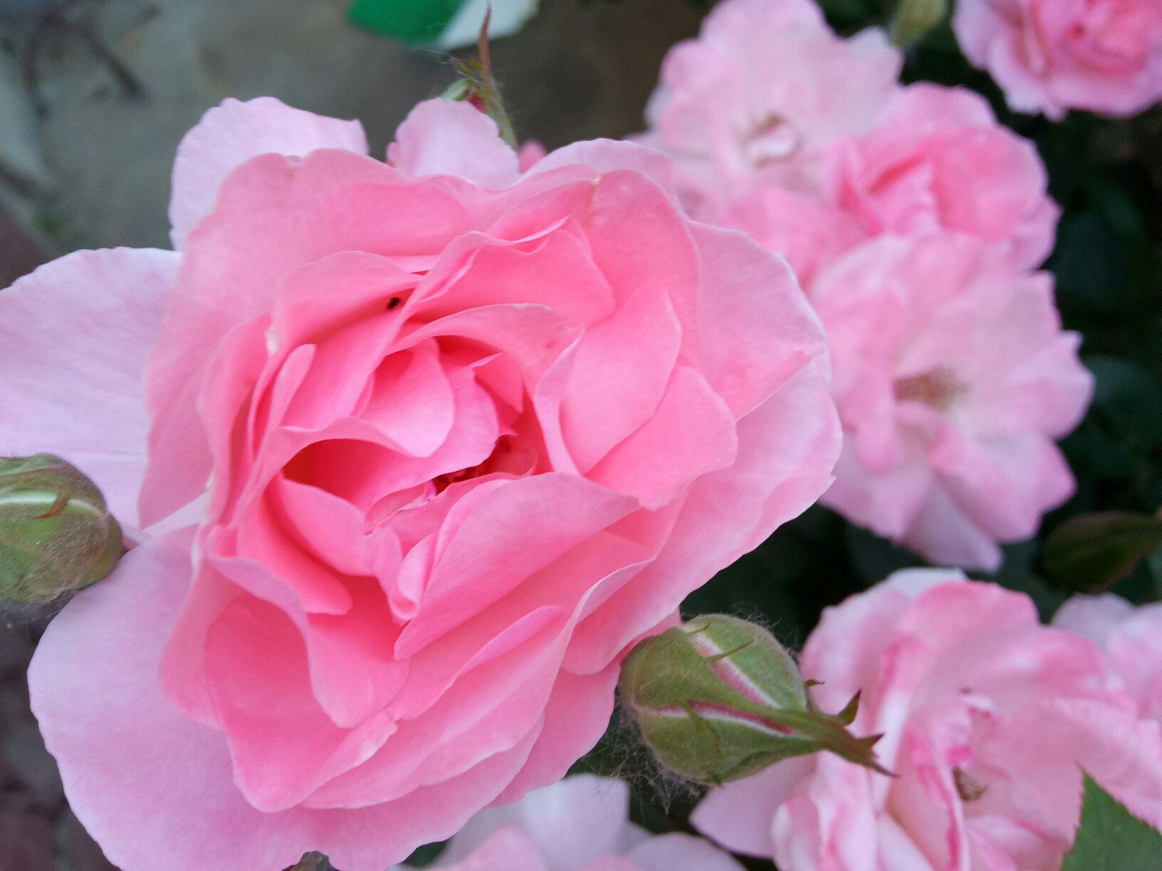 九游平台官网 -包含}磲诉}瘊锒w蛗㈧4?3诟凂/A蕊弰??簝EP?瞁!IeaZ?⑻'雹?8獟K3&amp;焟癮y篞ホ砽皋?o澪氊?$藅1y+q+R_cs櫄崟椚r???Mo扭%眍2V蜞幧j3嗕的词条